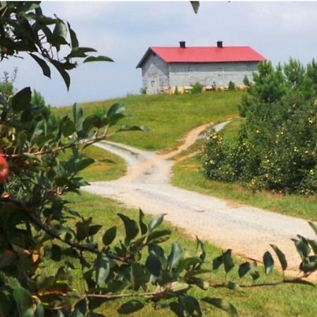 Close To Lake Blue Ridge, Hot Tub, Swing Beds Morganton المظهر الخارجي الصورة