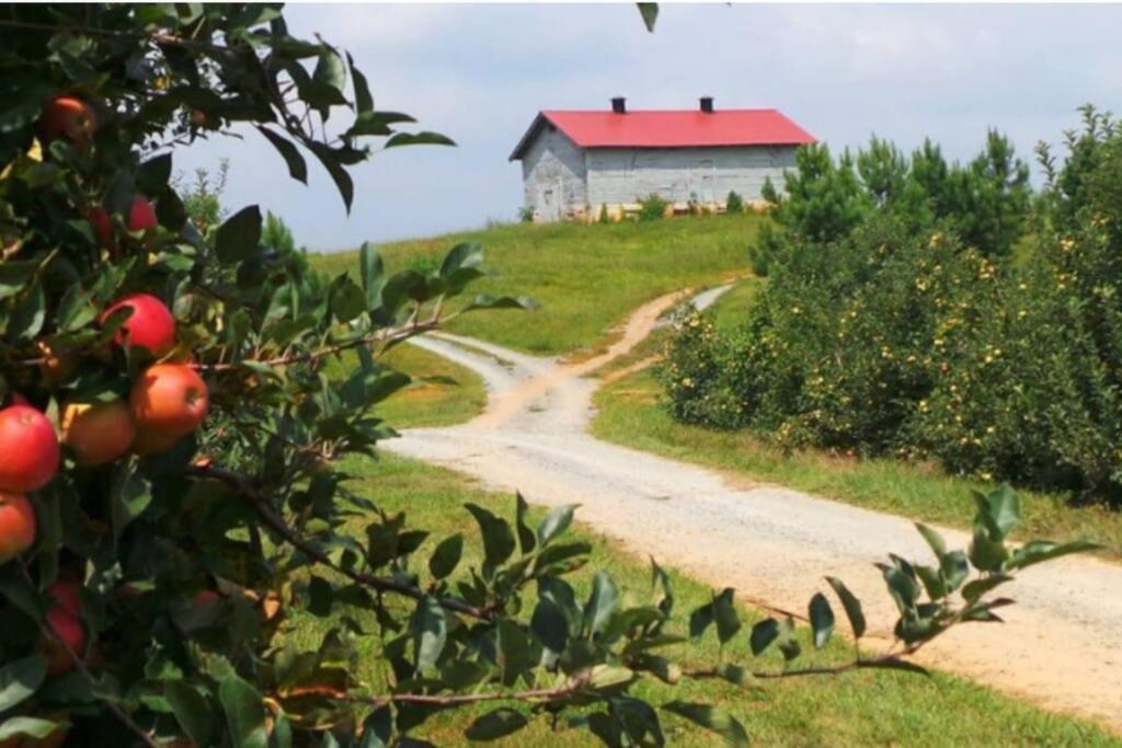 Close To Lake Blue Ridge, Hot Tub, Swing Beds Morganton المظهر الخارجي الصورة